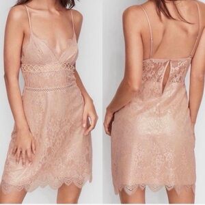 Victoria Secret Dream Angel Lace Blush Pink Shimmer Dress